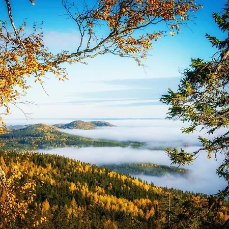 Break Sokos Koli Kyla Hotel 4*