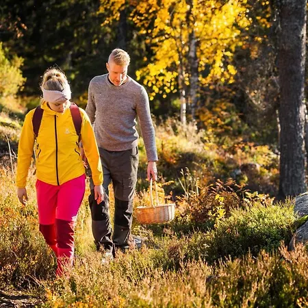 Break Sokos Koli Kylae