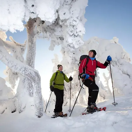 Break Sokos Koli Kylae 4* Kolinkylä