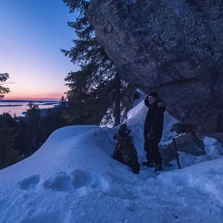 Hotel Break Sokos Koli Kyla