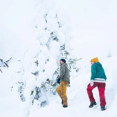 Break Sokos Koli Kyla