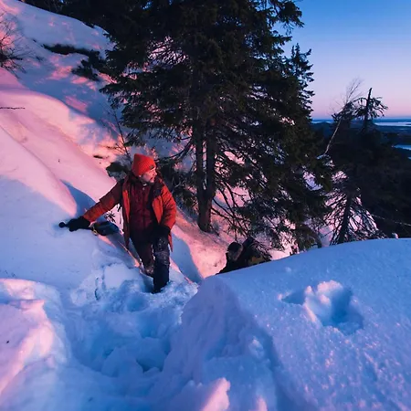 Hotel Break Sokos Koli Kylae