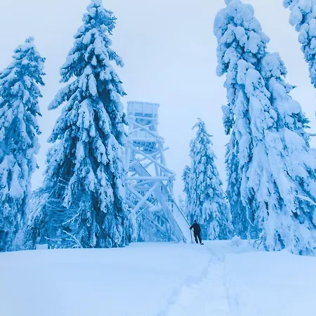 Break Sokos Koli Kylae Szálloda