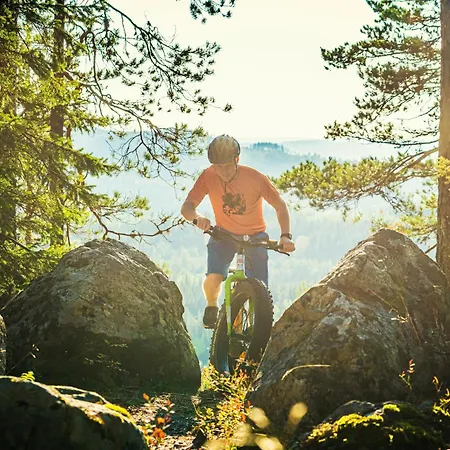 Hotel Break Sokos Koli Kyla 4*