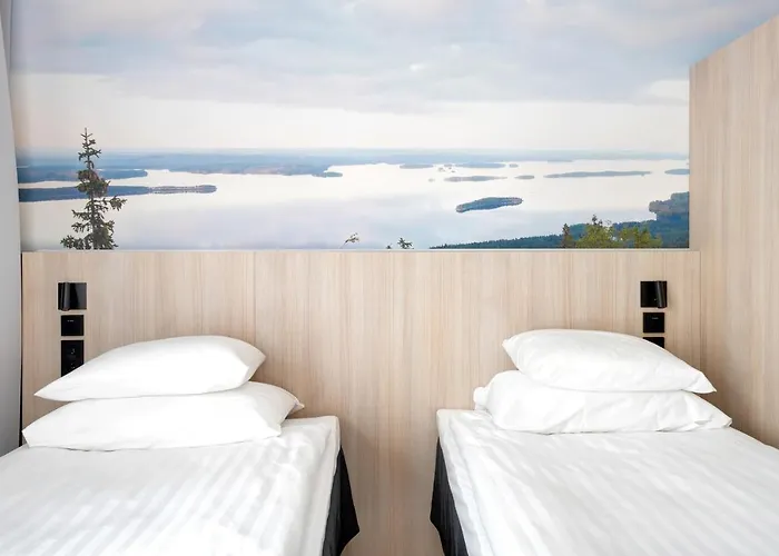 Break Sokos Koli Kylae Otel 4*