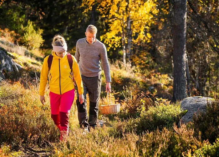 Break Sokos Koli Kylae