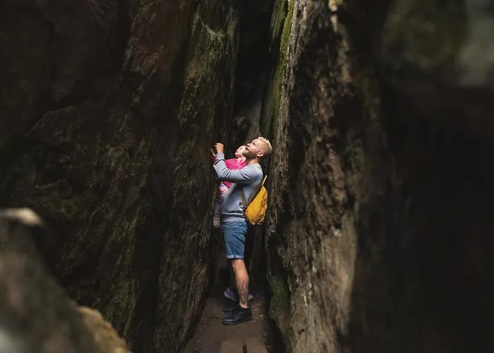 Break Sokos Koli Kylae