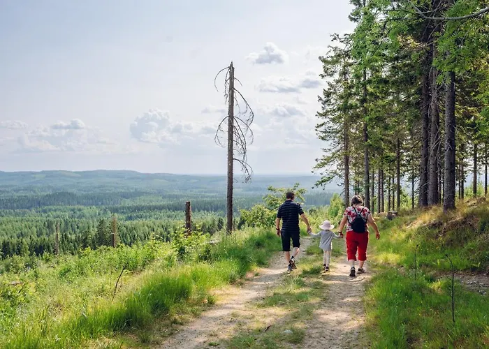 Break Sokos Koli Kylae Kolinkylä