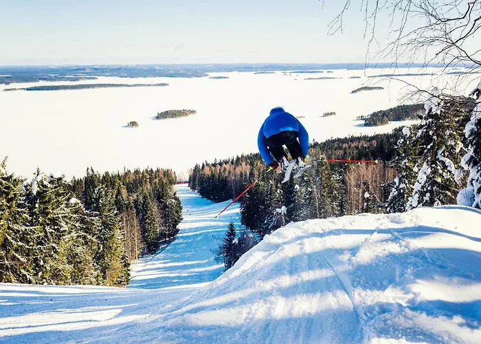 Break Sokos Koli Kylae Otel