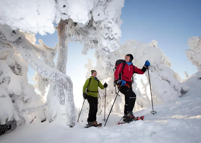 Break Sokos Koli Kylae 4* Kolinkylä