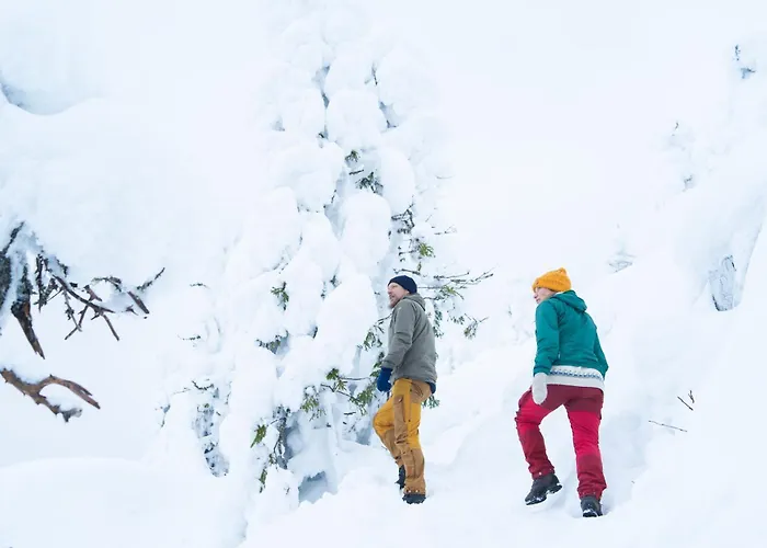 Break Sokos Koli Kylae