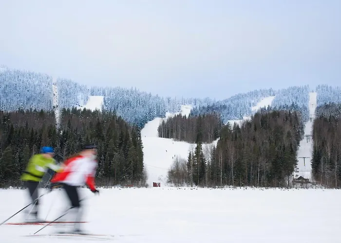 Otel Break Sokos Koli Kylae Kolinkylä