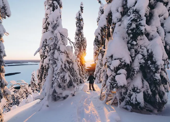 Break Sokos Koli Kylae Otel Kolinkylä