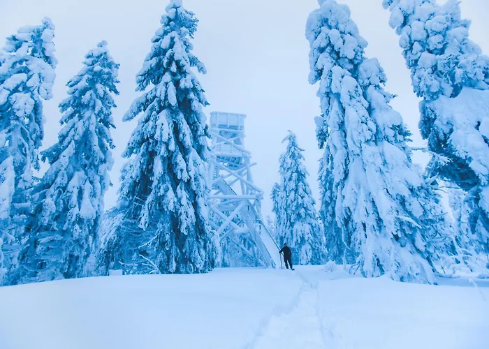 Break Sokos Koli Kylae Otel