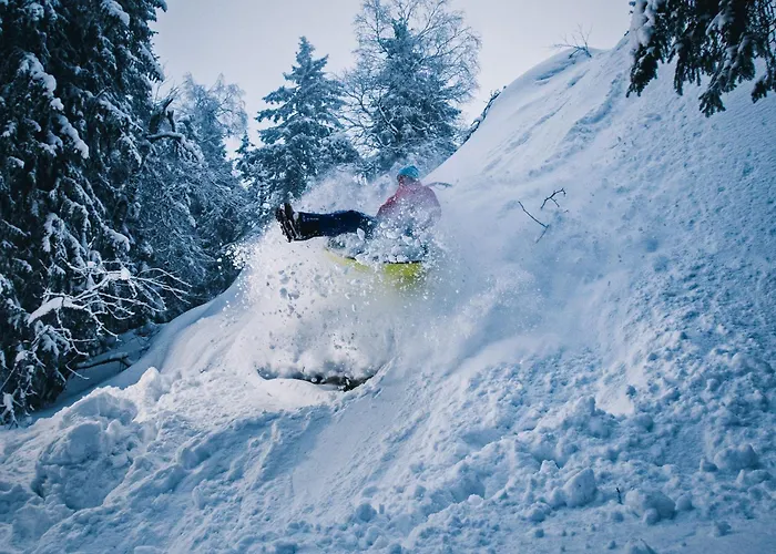 Break Sokos Koli Kylae Otel 4*