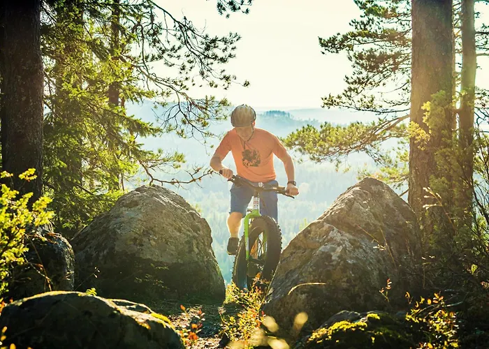 Otel Break Sokos Koli Kylae 4*